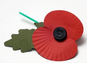 A29FKH Single remembrance day poppy against white background